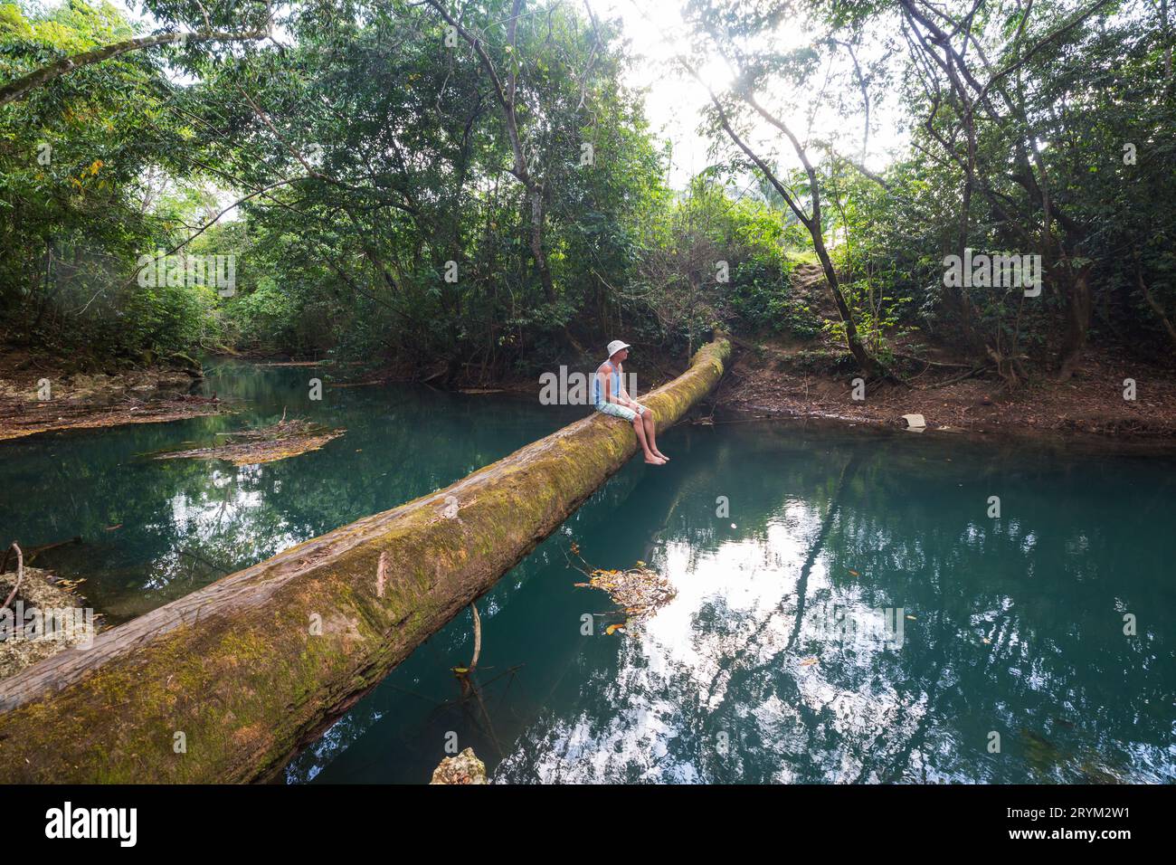 Fluss im Dschungel Stockfoto