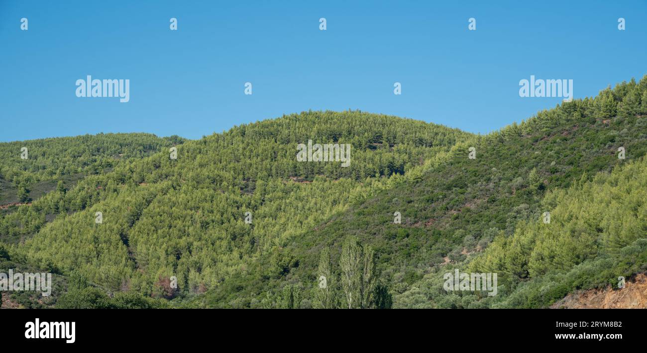 Unberührte Berglandschaft mit Wald vor blauem Himmel. Natürliche Umgebung. Speicherplatz kopieren Stockfoto