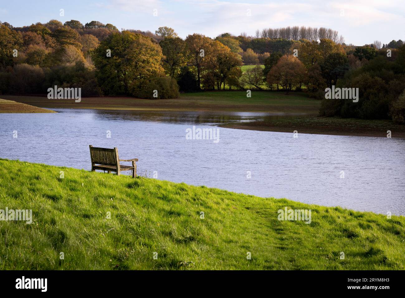 Bank am Ufer des Bewl-Wasserspeichers im Herbst, Kent, England Stockfoto