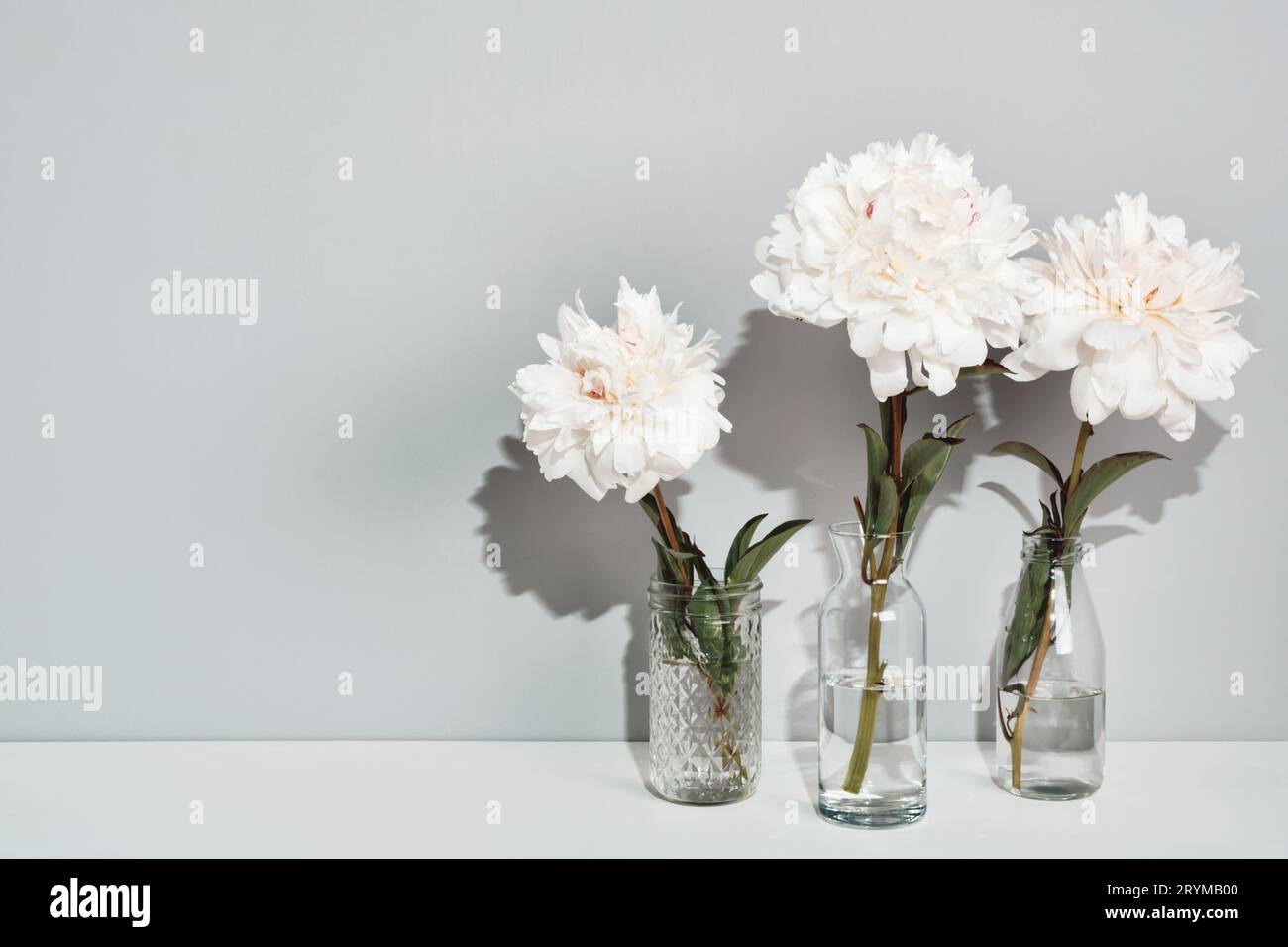 Elegante weiße Pfingstrosen Blumenanordnung auf Tischwandhintergrund, trendige Schatten Stockfoto