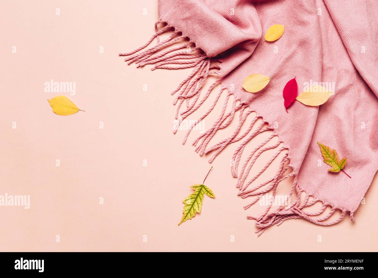 Rosafarbener gemütlicher Schal mit Quasten und verstreuten Blättern auf pastellfarbenem Hintergrund. Hallo Herbstkonzept Stockfoto