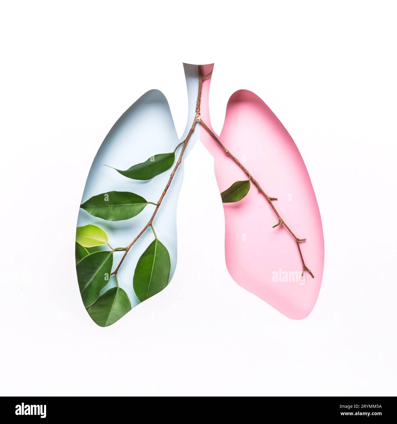 Lochlunge und grüne Zweige als Symbol gesunder und kranker Lungen. Welttuberkulosetag oder Weltlungstag Konzept. Minimales Papier Stockfoto