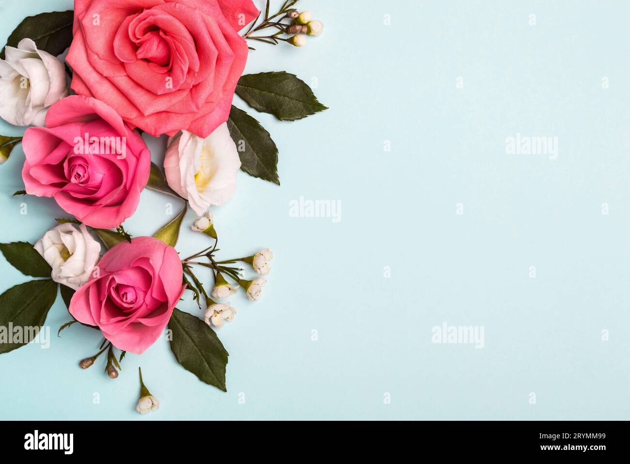 Blumenanordnung rosa Rosen auf blauem Hintergrund. Muttertag, Valentinstag, Geburtstagsdesign Stockfoto