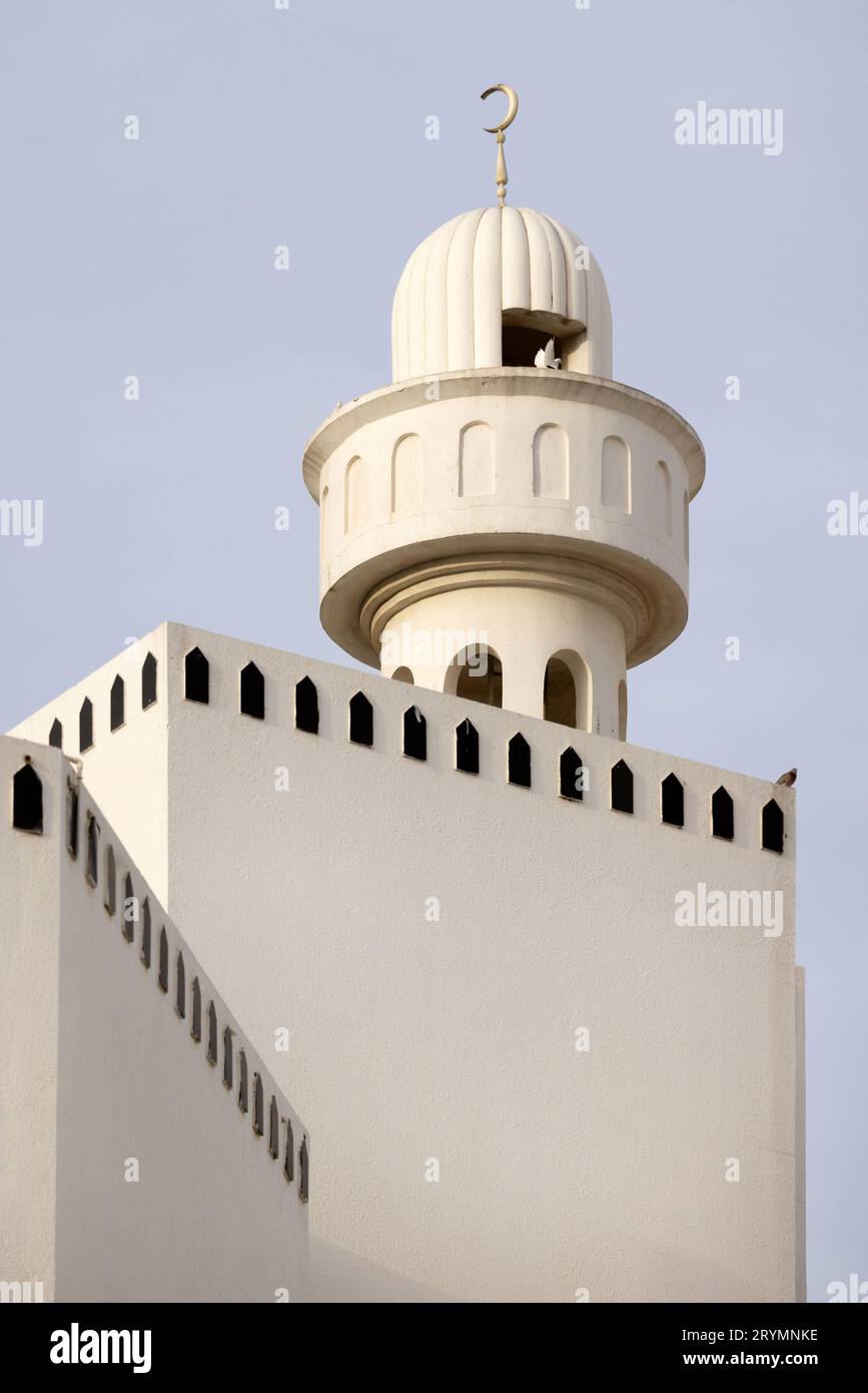 Süße orientalische Katze, die zu Hause im Schlafzimmer sitzt, Haustierporträt Stockfoto