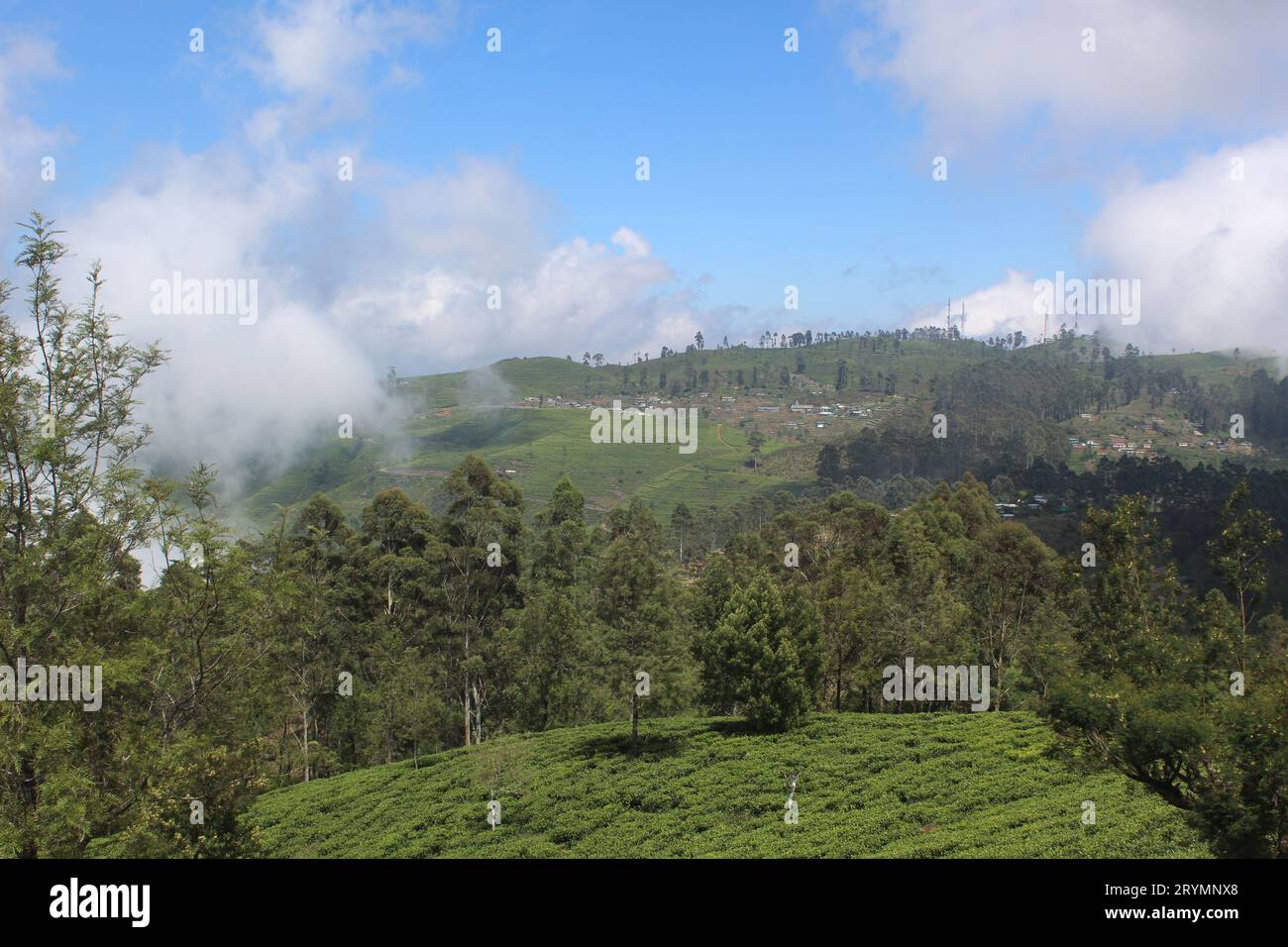 Wunderschöne Landschaftsfotos in Sri Lanka Stockfoto