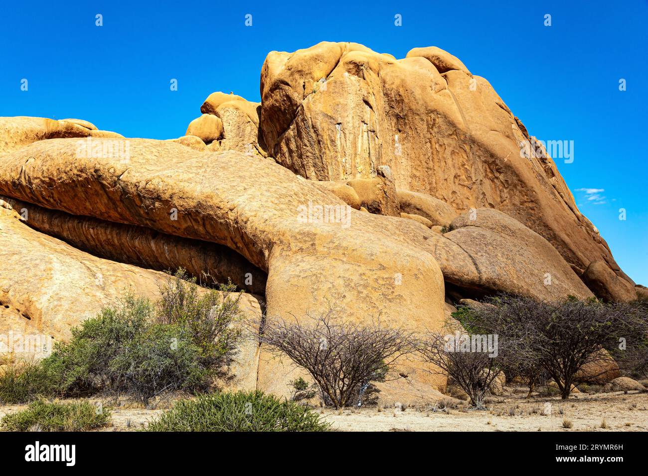 Die riesige namibische Wüste Stockfoto