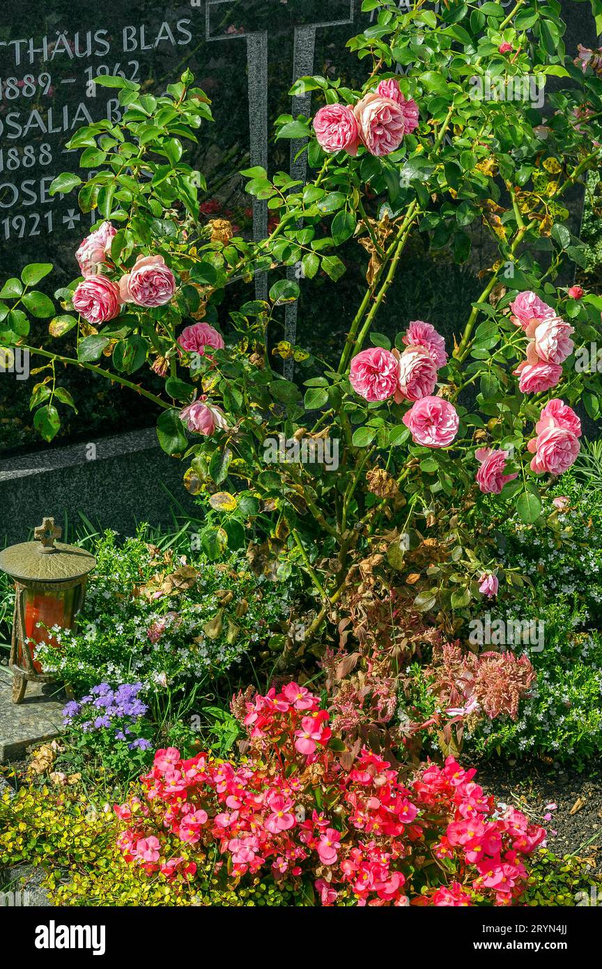 Grabstein mit Blumenschmuck und Rosen (rosa), Bad Groenenbach, Bayern, Deutschland Stockfoto