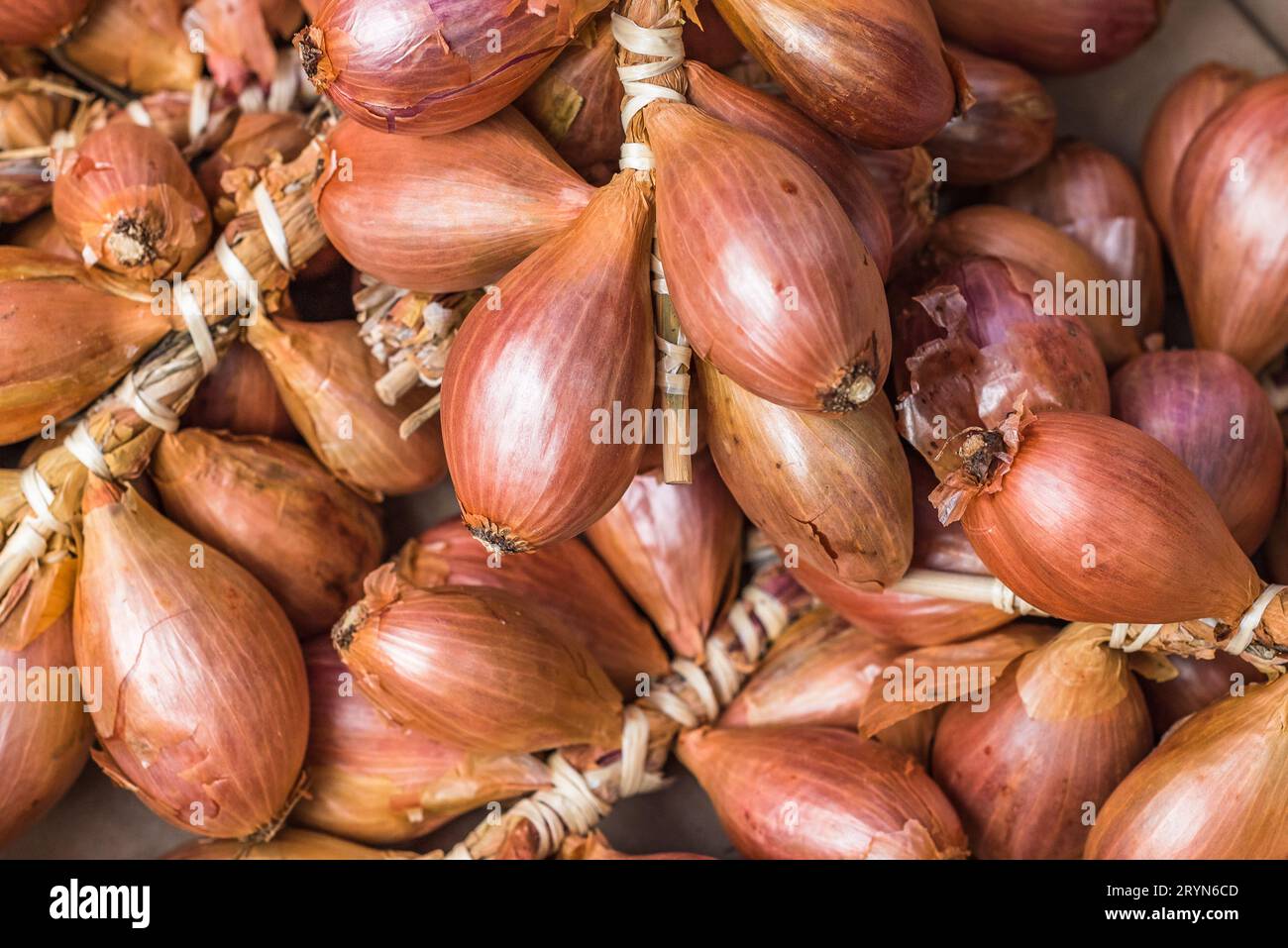 Frische Schalotten auf dem Bauernmarkt Stockfoto