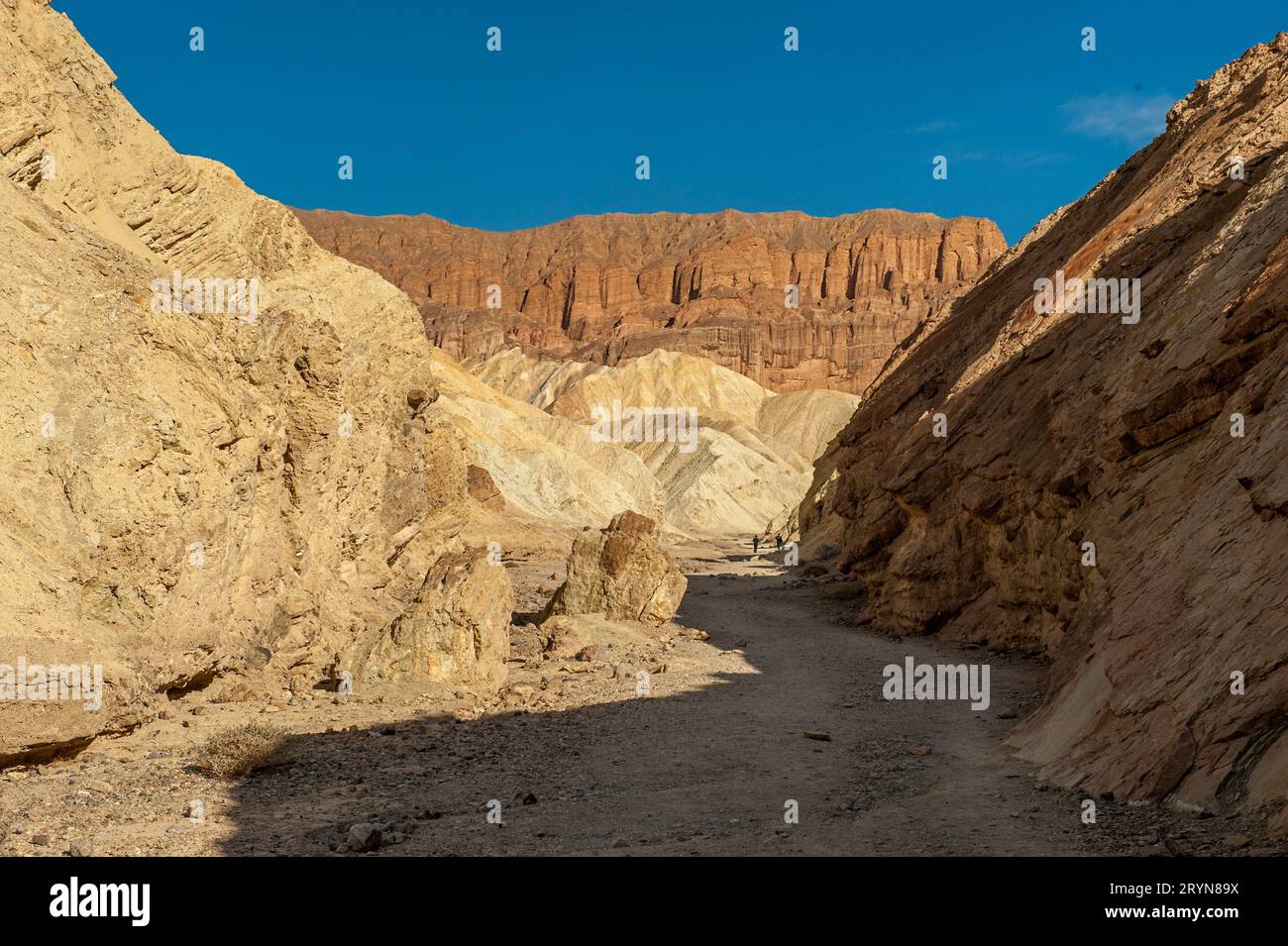 Wanderer auf dem Golden Canyon Trail im Death Valley National Park, Kalifornien, 36 Meter unter dem Meeresspiegel. Die rote Klippe ist als Rote Kathedrale bekannt. Stockfoto