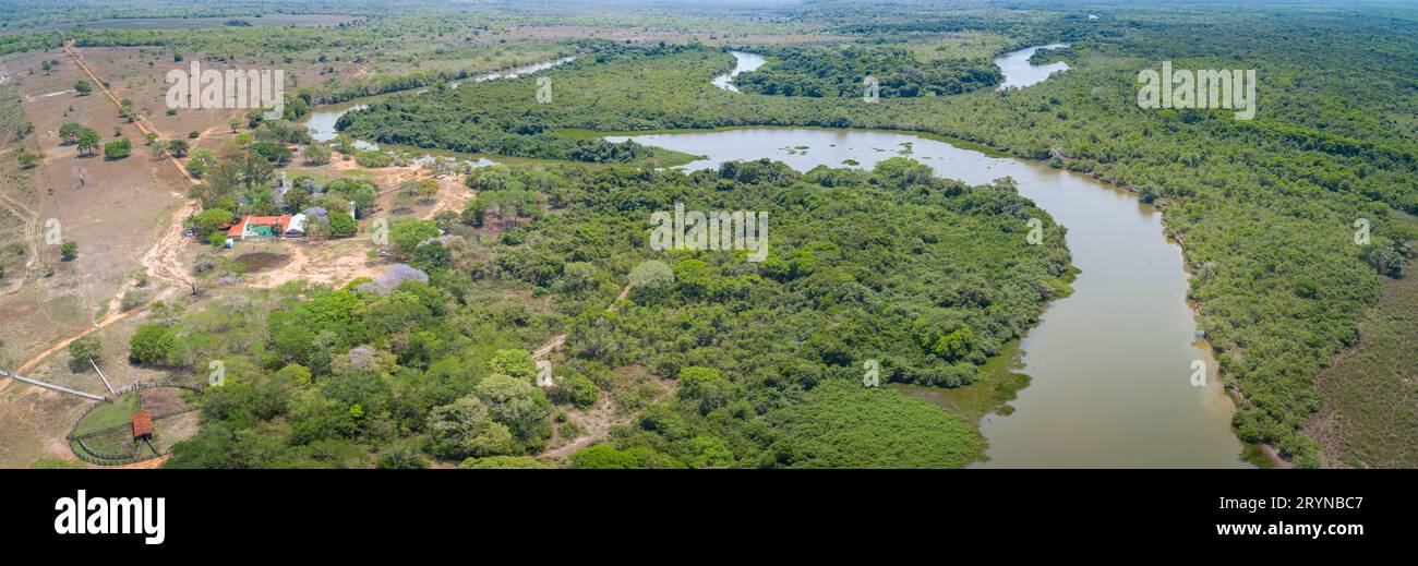 Fantastischer Blick auf die typische Pantanal-Landschaft, schlängelnder tropischer Fluss durch Regenwald und Entwalde Stockfoto