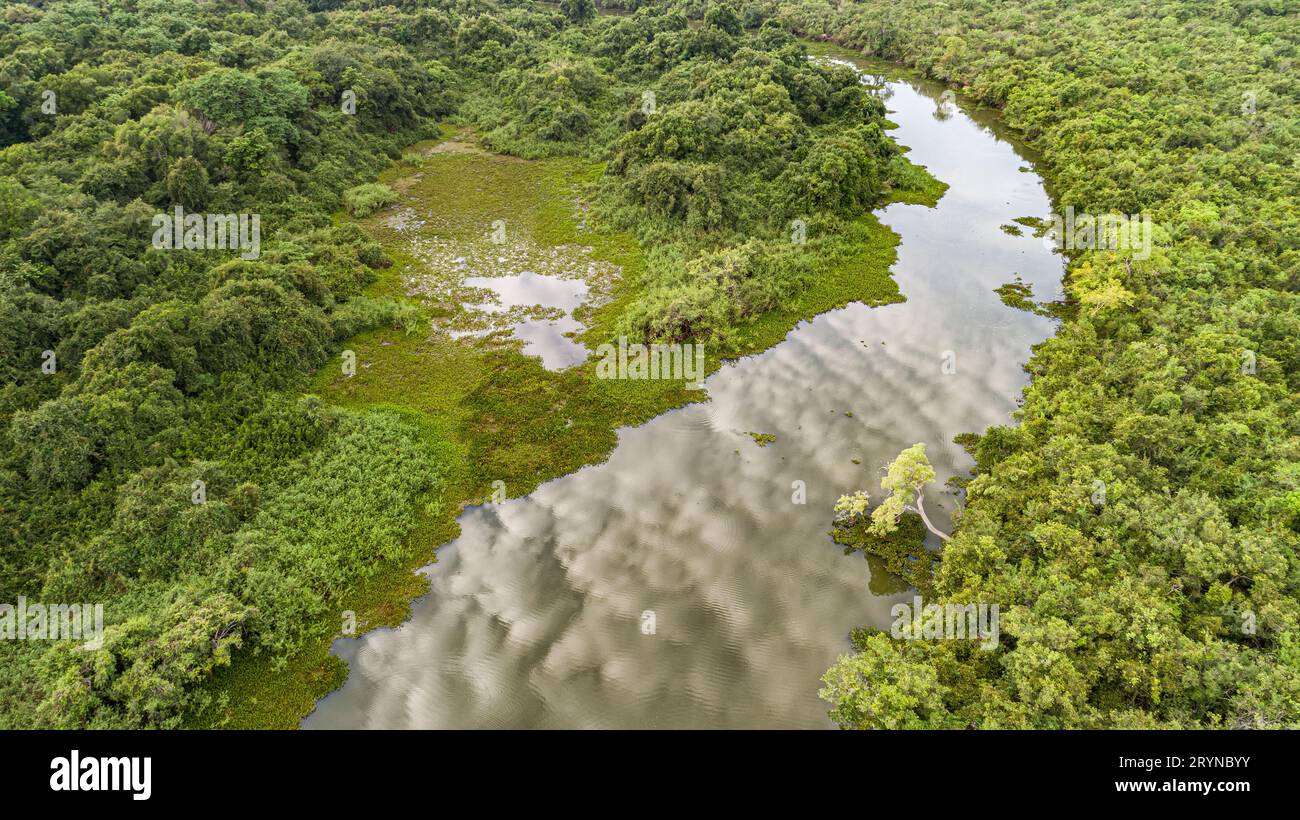 Ariel-Blick auf einen typischen Pantanal-Fluss mit Wiese, Lagune und dichtem Wald im Licht des späten Nachmittags, Stockfoto