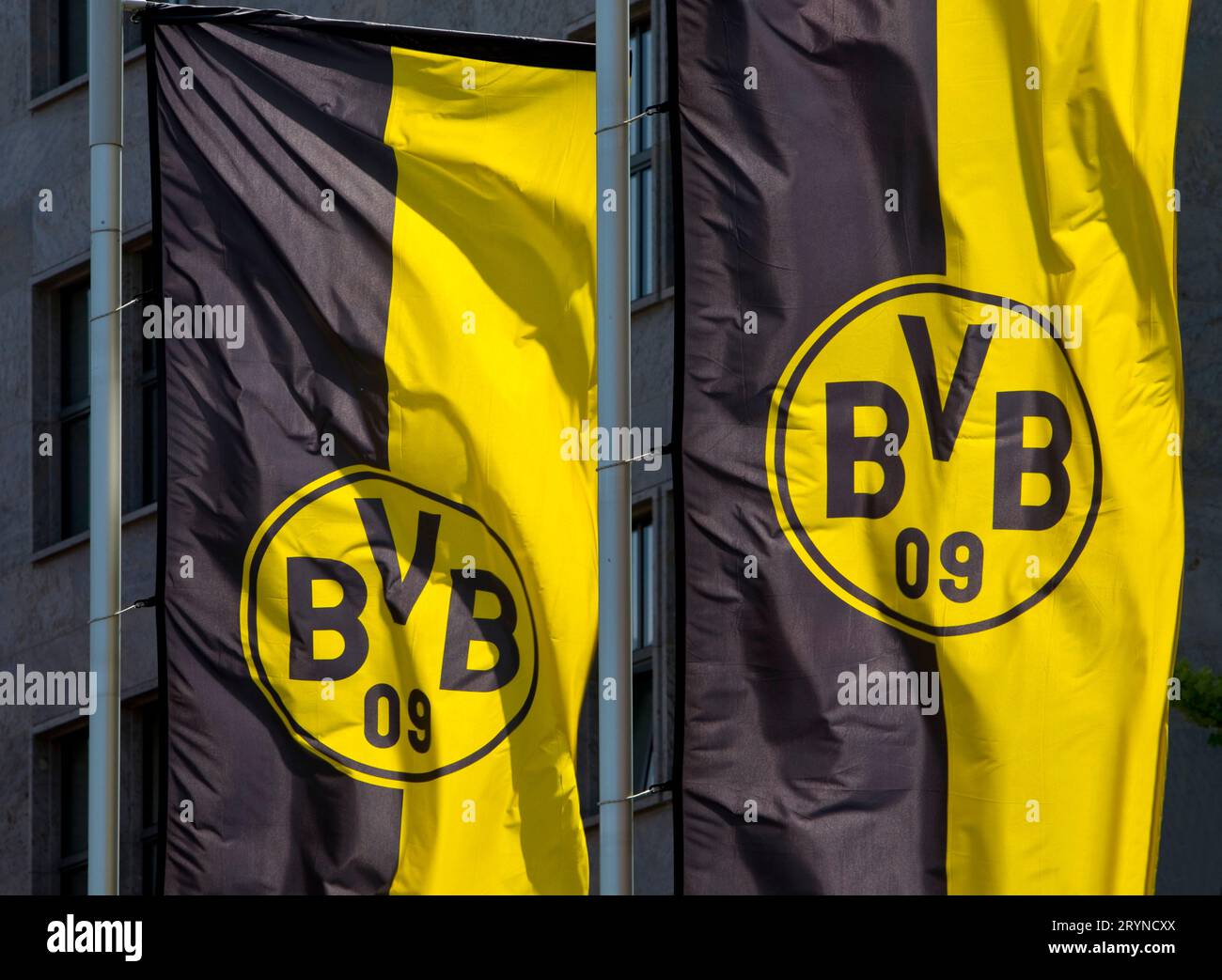 BVB-Flaggen von Borussia Dortmund, Dortmund, Ruhrgebiet, Deutschland, Europa Stockfoto