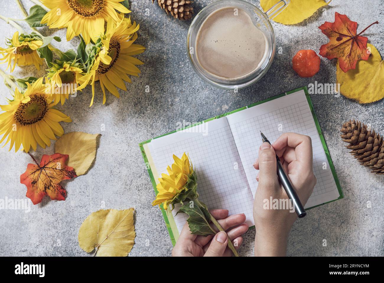 Guten Morgen. Konzept der Aufgabenliste. Ein Strauß großer Sonnenblumen, Kaffeetasse und leeres Notizbuch auf einem Steintisch. Draufsicht flach l Stockfoto