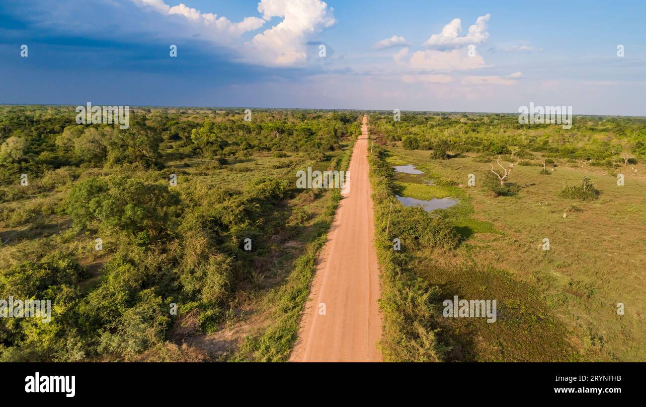 Aus der Vogelperspektive mit Wolken und blauem Himmel am Horizont der Transpantaneira Schotterstraße, die gerade über die Straße geht Stockfoto