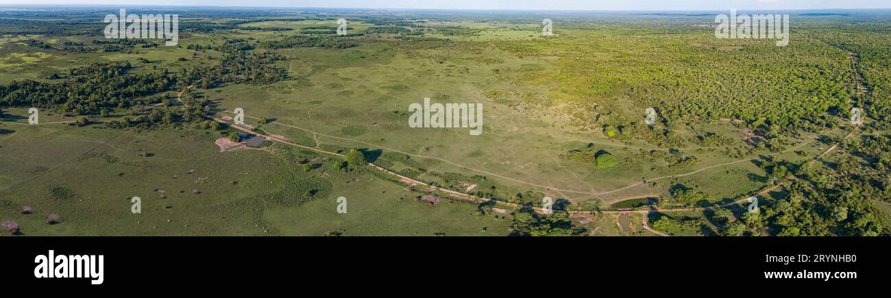 Panoramablick auf die typische ländliche Landschaft in den Feuchtgebieten von Pantanal, Mato Grosso, Brasilien Stockfoto