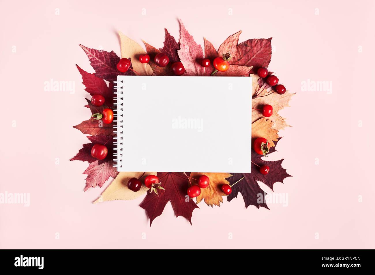 Notizbuch mit Rahmen aus bunten Herbstblättern und Beeren auf rosafarbenem Hintergrund. Kreatives Konzept für „Hallo Herbst“ Stockfoto