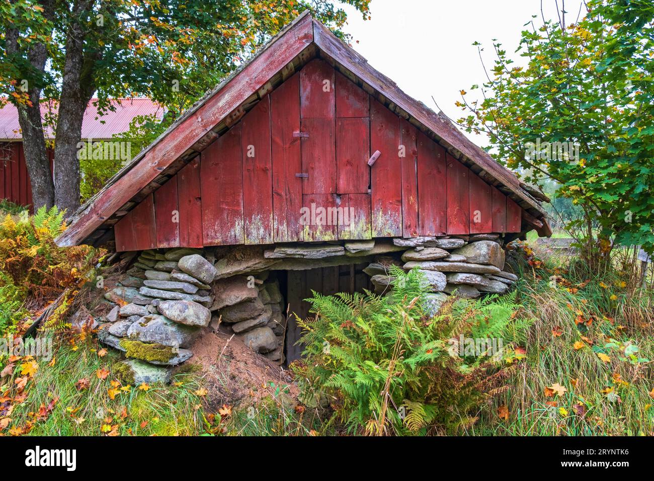 Roter alter Wurzelkeller auf dem Land Stockfoto