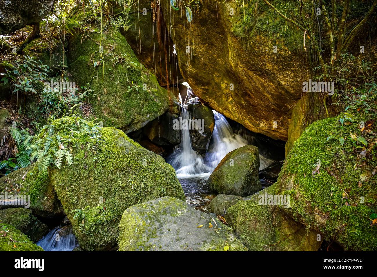 Malerischer kleiner Wasserfall, der durch große moosbedeckte Felsen in einen tropischen Atlantikwald taucht Stockfoto