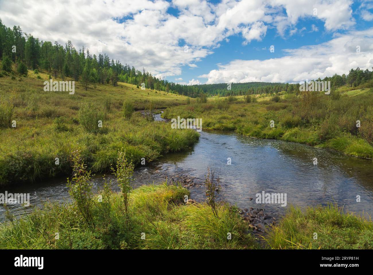 Tal eines kleinen Baches in Süd-Yakutia im Sommer mit gutem Wetter. Stockfoto