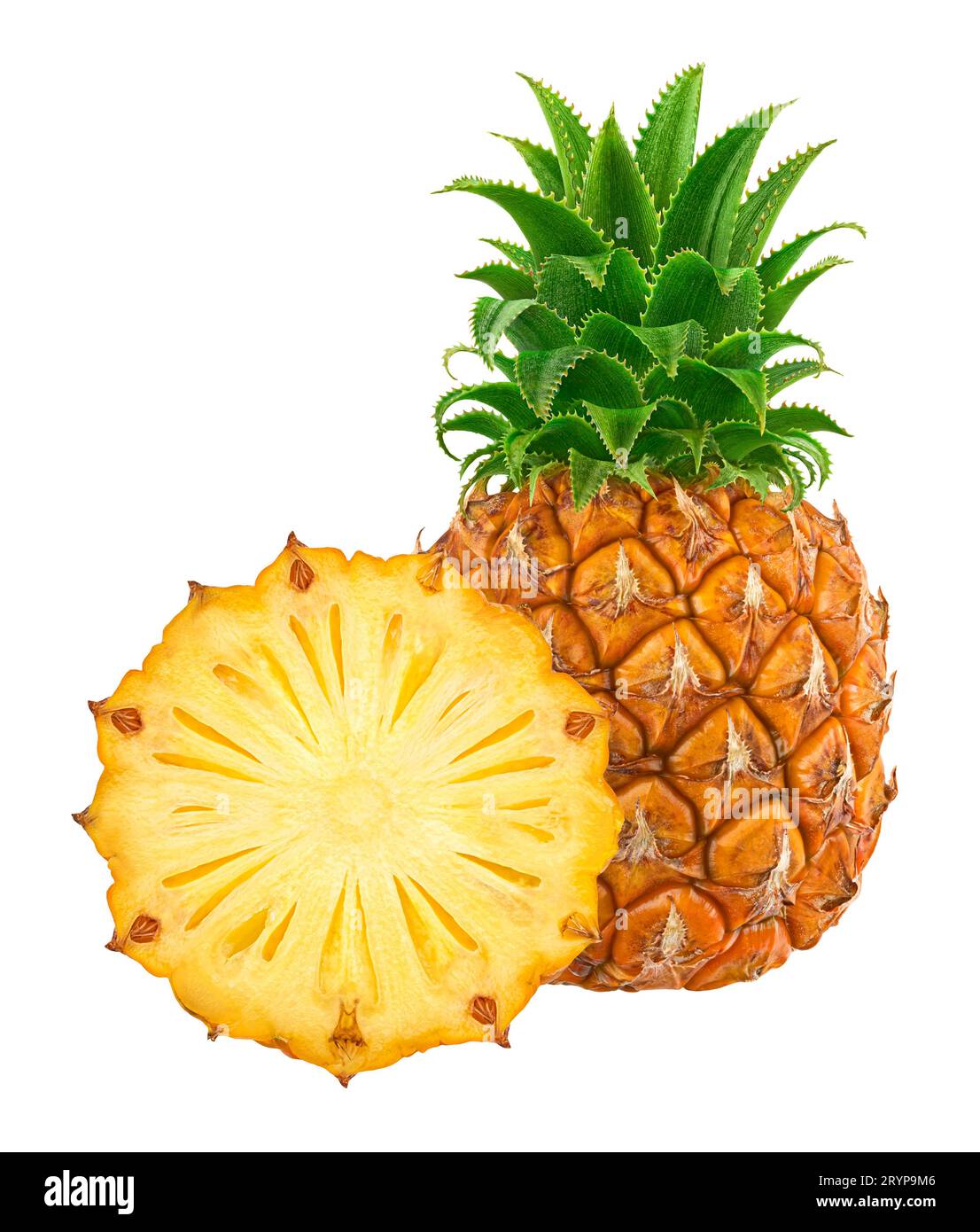 Ananas isoliert auf weißem Hintergrund, volle Schärfentiefe Stockfoto