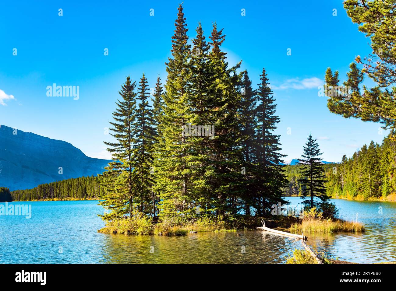 Zwei Jack Lake. Indischer Sommer Stockfoto