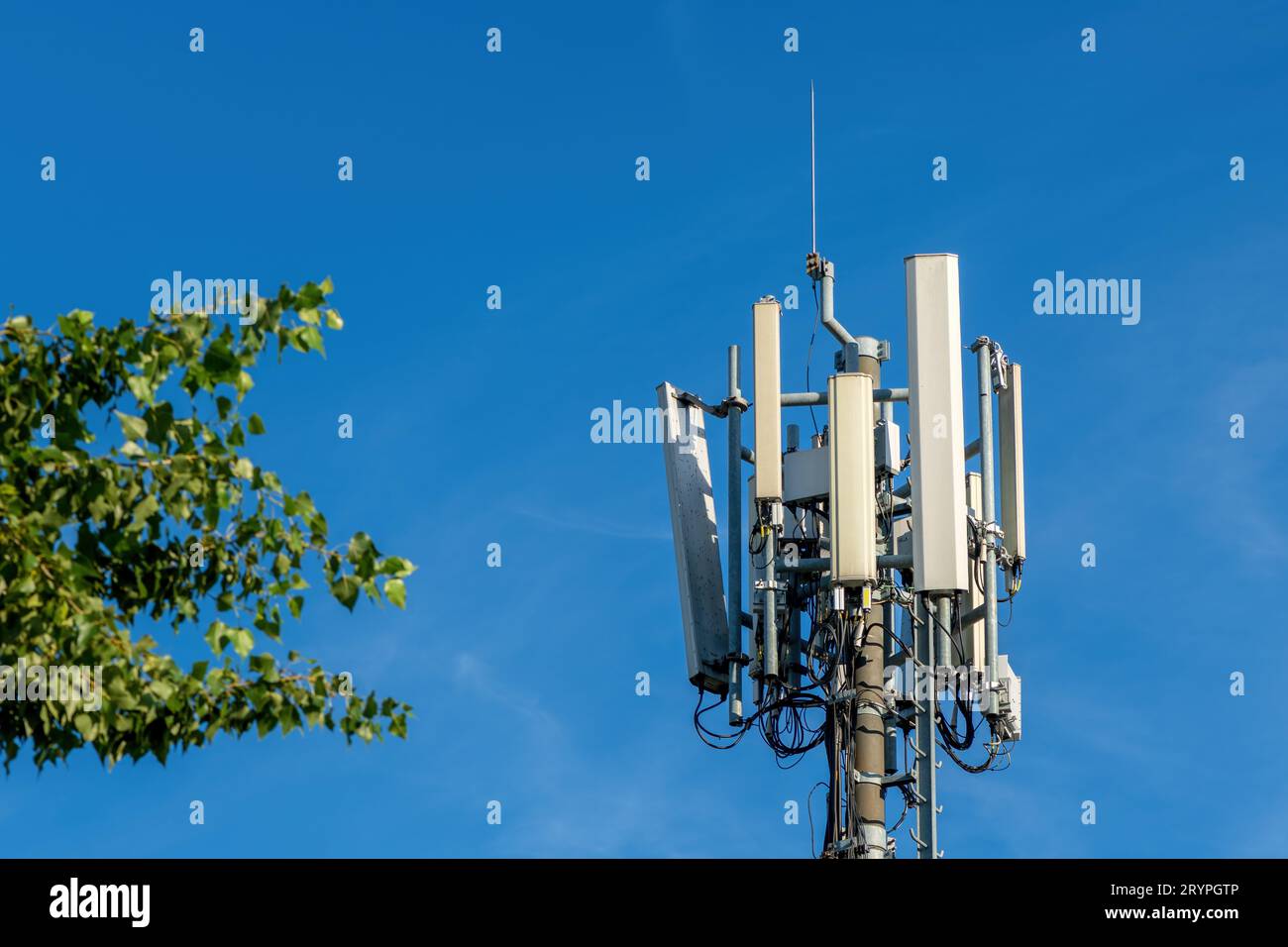 Repeater und Antenne der Basisstation neben einem grünen Baum, selektiver Fokus Stockfoto