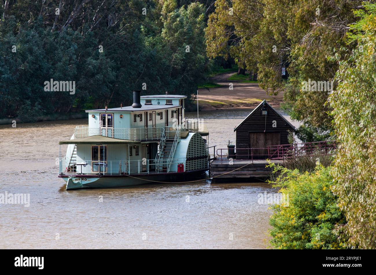 Paddeln Sie auf dem Murray River in Echuca in Victoria Stockfoto