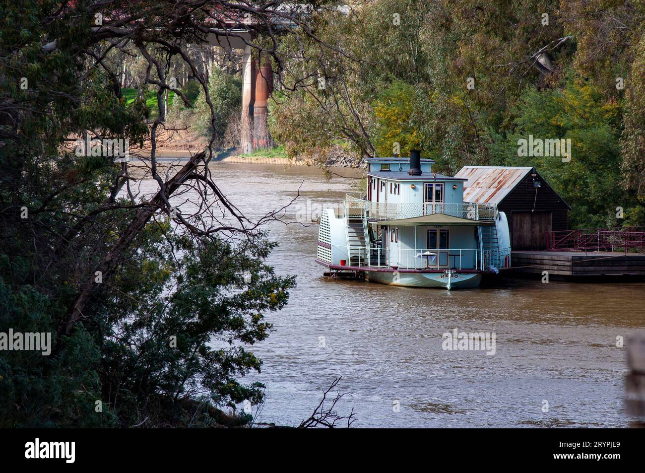 Paddeln Sie auf dem Murray River in Echuca in Victoria Stockfoto