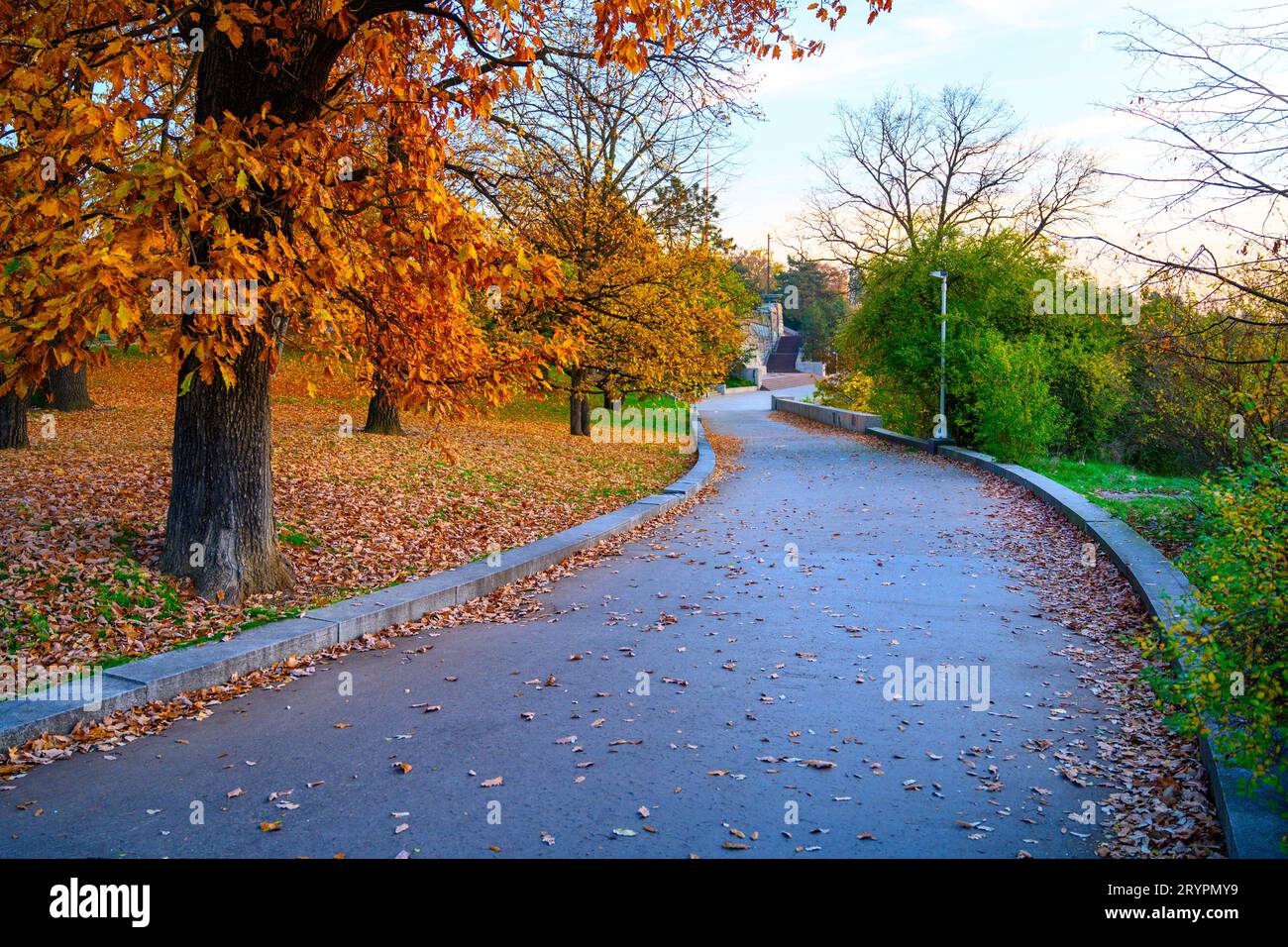 Herbstzeit in Letna Parks mit bunten Bäumen, Prag, Tschechische Republik Stockfoto