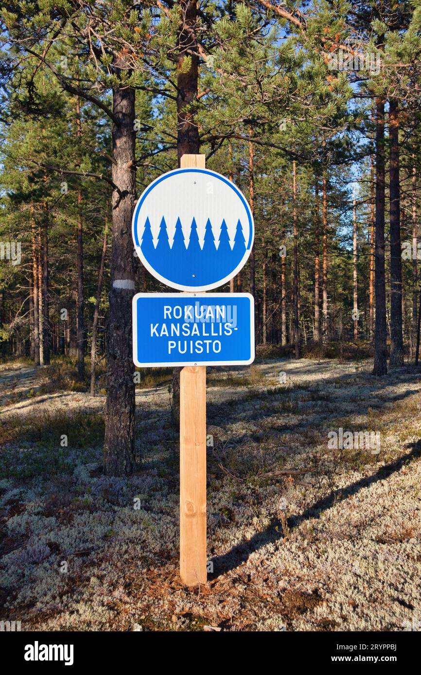 Rokua-Nationalpark in Utajärvi, Finnland Stockfoto