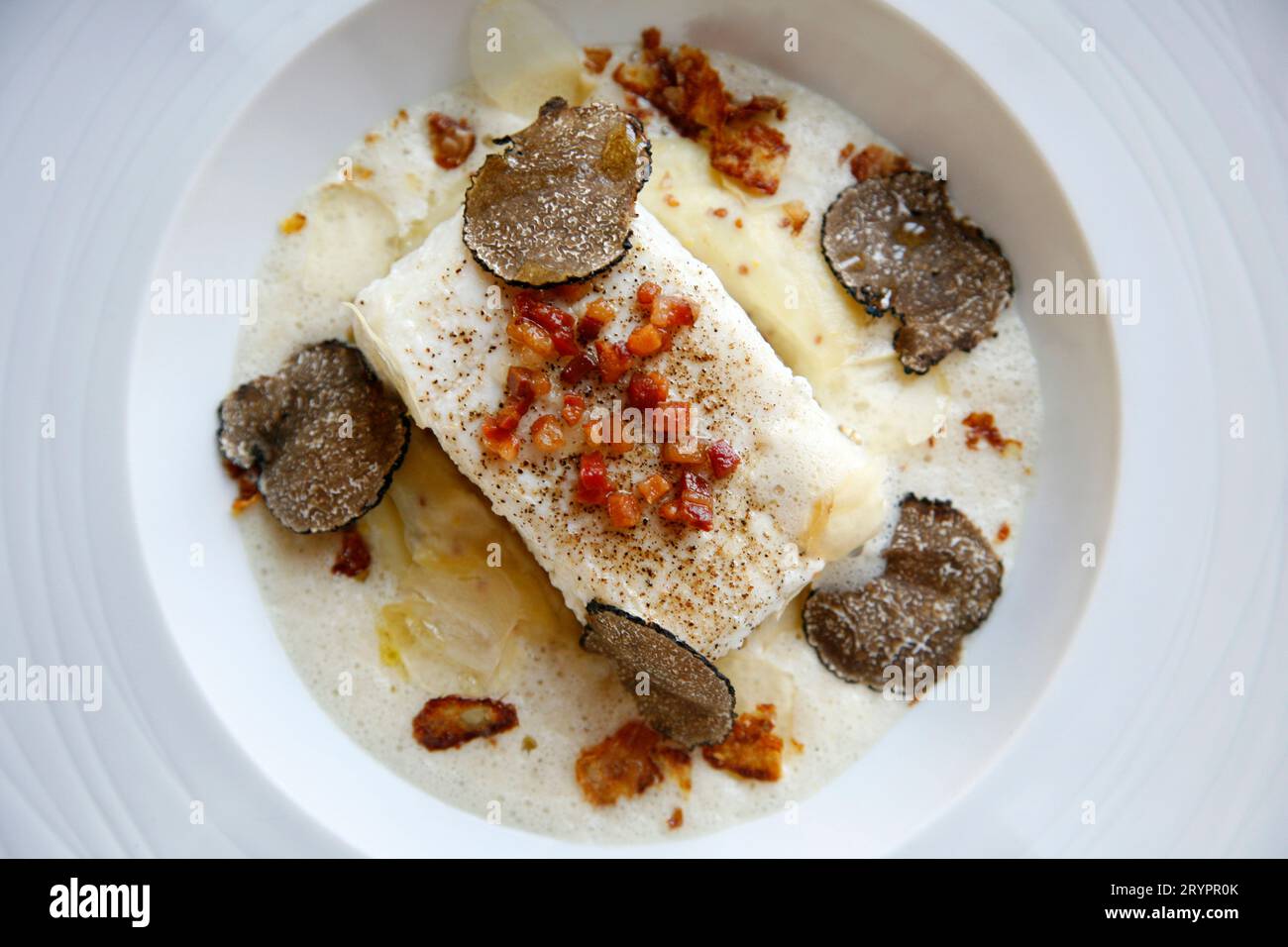 Heilbuttfisch im exklusiven Restaurant Kampa Park, Mala Strana, Prag, Tschechische Republik. Stockfoto