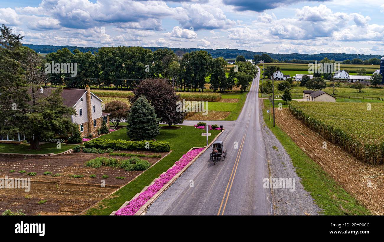 Ein Aerial View eines Amish Horse and Buggy Reisen Sie auf einer Landstraße, vorbei an Corn Fields und Home Garden, mit rosa Blumen, an einem sonnigen Tag Stockfoto