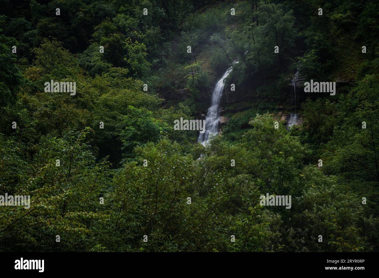 Erstaunlicher riesiger Wasserfall, der tief in den Wäldern des Triglav-Nationalparks in Slowenien, Europa, versteckt ist. Stockfoto