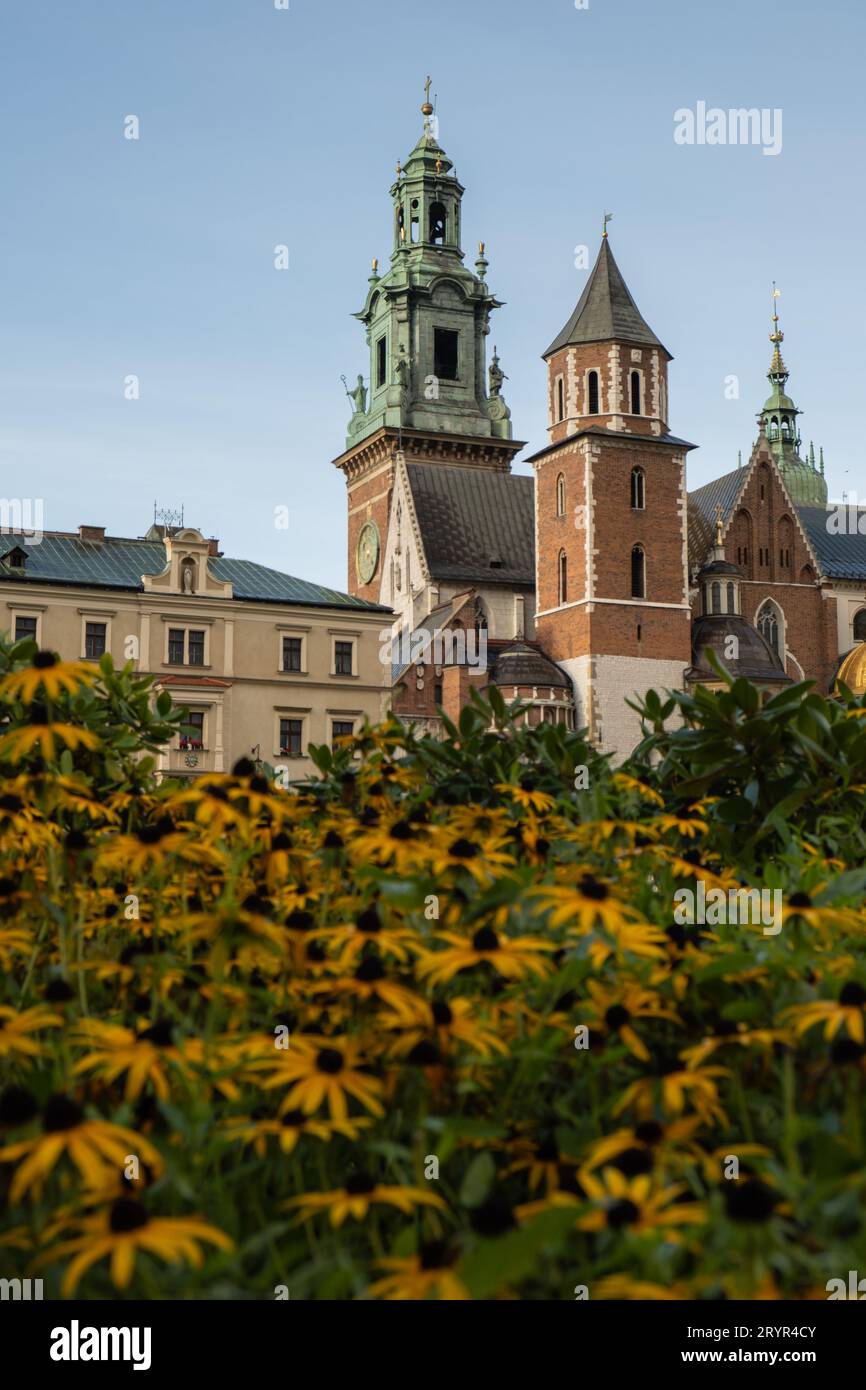 Sommerblick auf das Königsschloss Wawel in Krakau, Polen. Historischer Ort in Polen. Blumen im Vordergrund. Wunderschöne Besichtigungstour wi Stockfoto