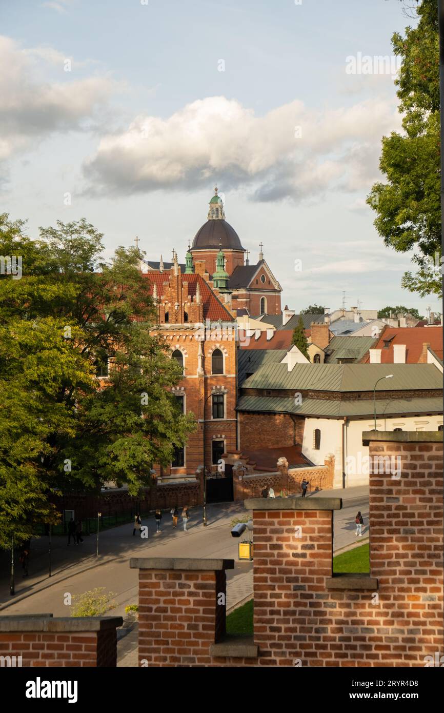 Sommerblick auf das Königsschloss Wawel in Krakau, Polen. Historischer Ort in Polen. Blumen im Vordergrund. Wunderschöne Besichtigungstour wi Stockfoto