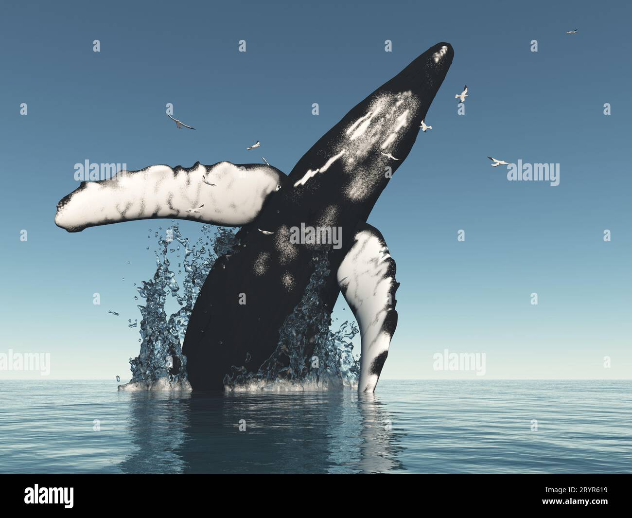 Buckelwal springt aus dem Wasser Stockfoto