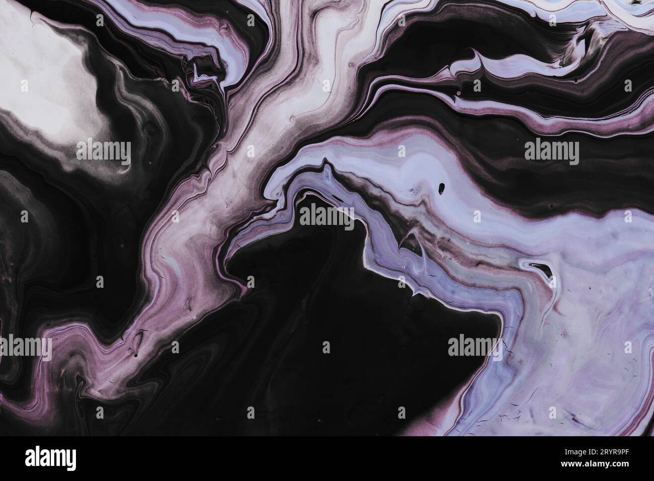Fluide Art. Graue schwarze und lilafarbene Wellen und Locken. Abstrakter Marmorhintergrund oder Textur Stockfoto