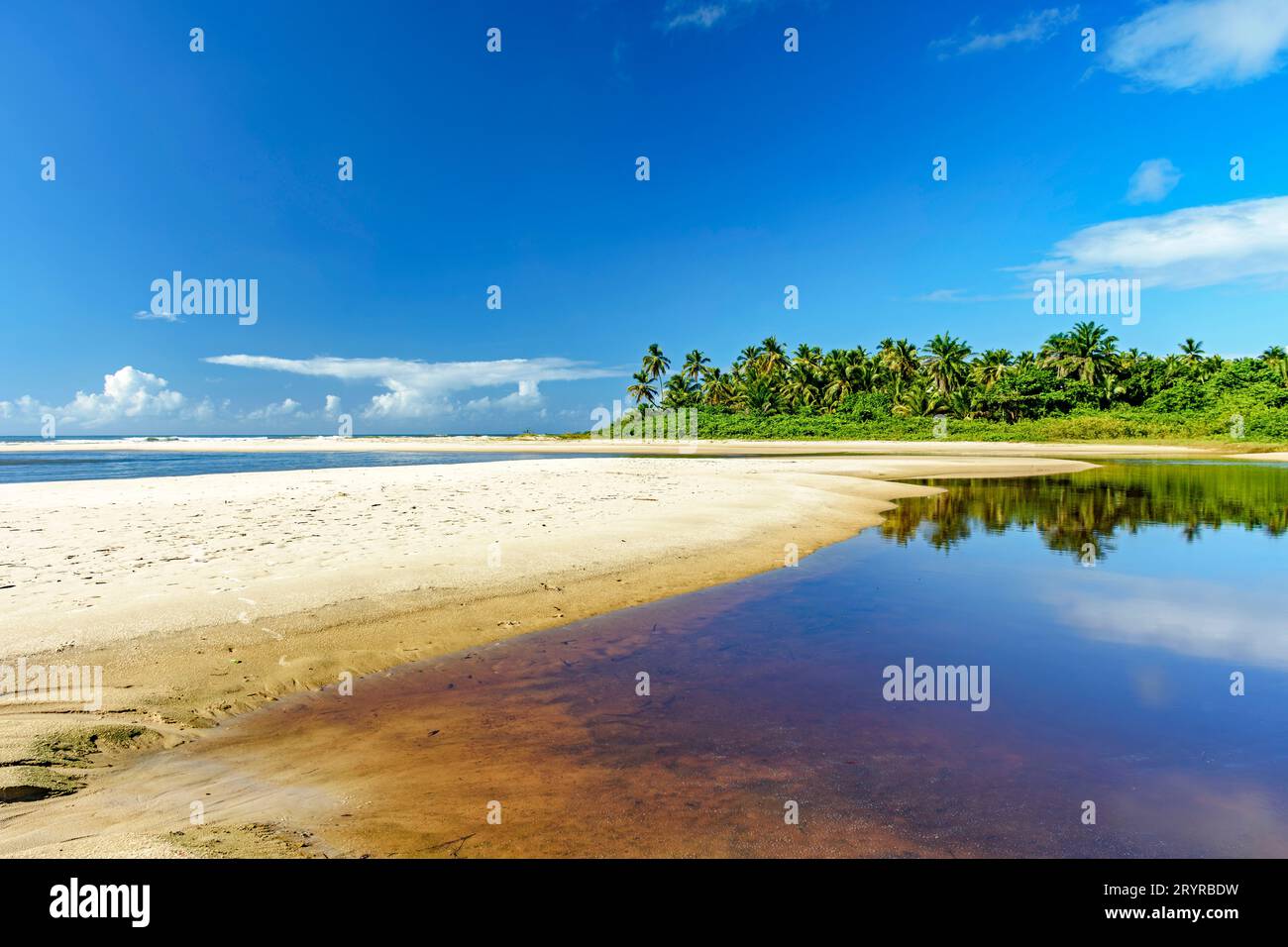 Wo der Fluss auf das Meer trifft, mit Kokospalmen im Hintergrund Stockfoto