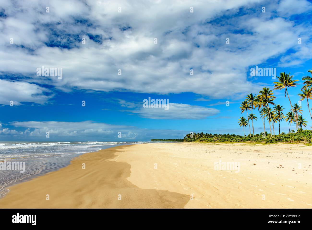 Paradiesischer tropischer Strand von Sargi Stockfoto