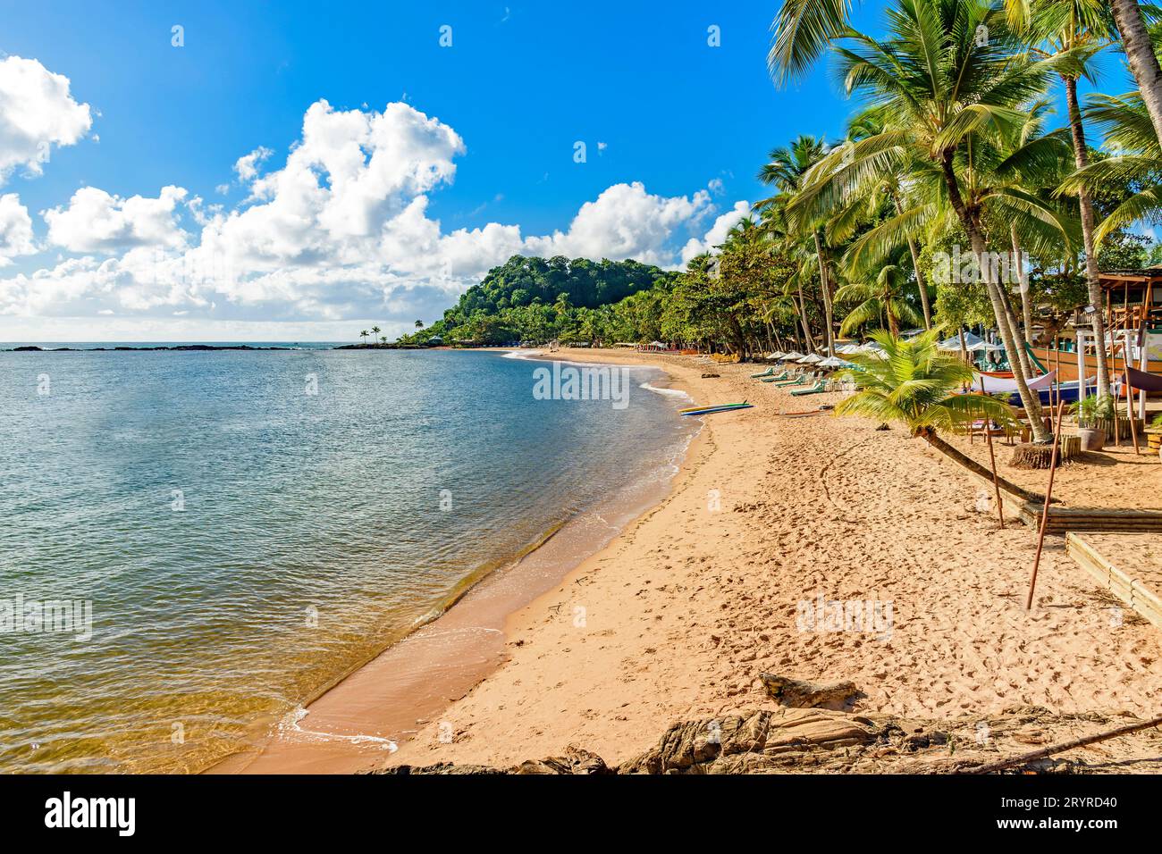 Concha Strand im Stadtgebiet von Itacare an der Küste von Bahia Stockfoto