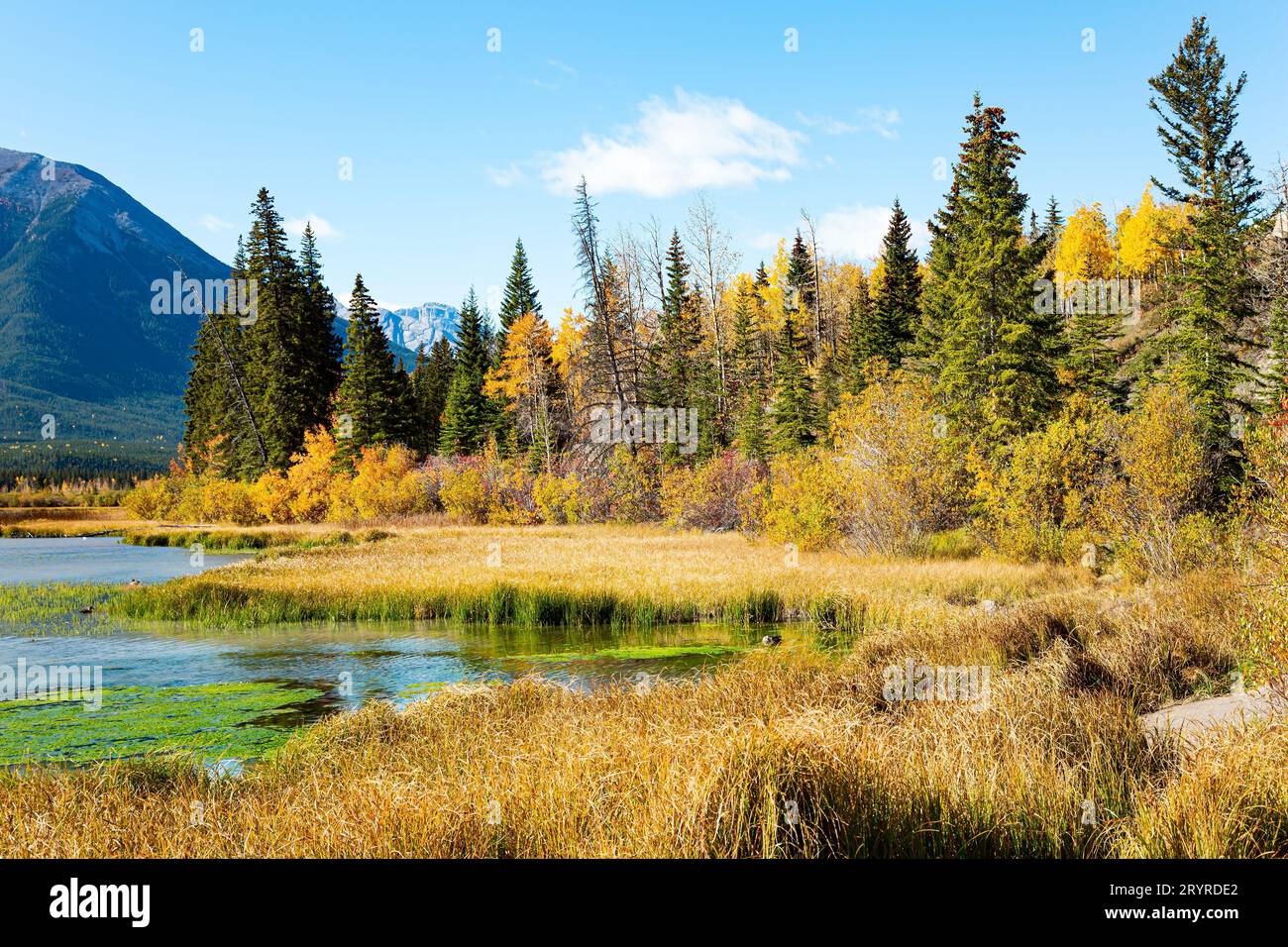 Herbst Indischer Sommer in Kanada Stockfoto