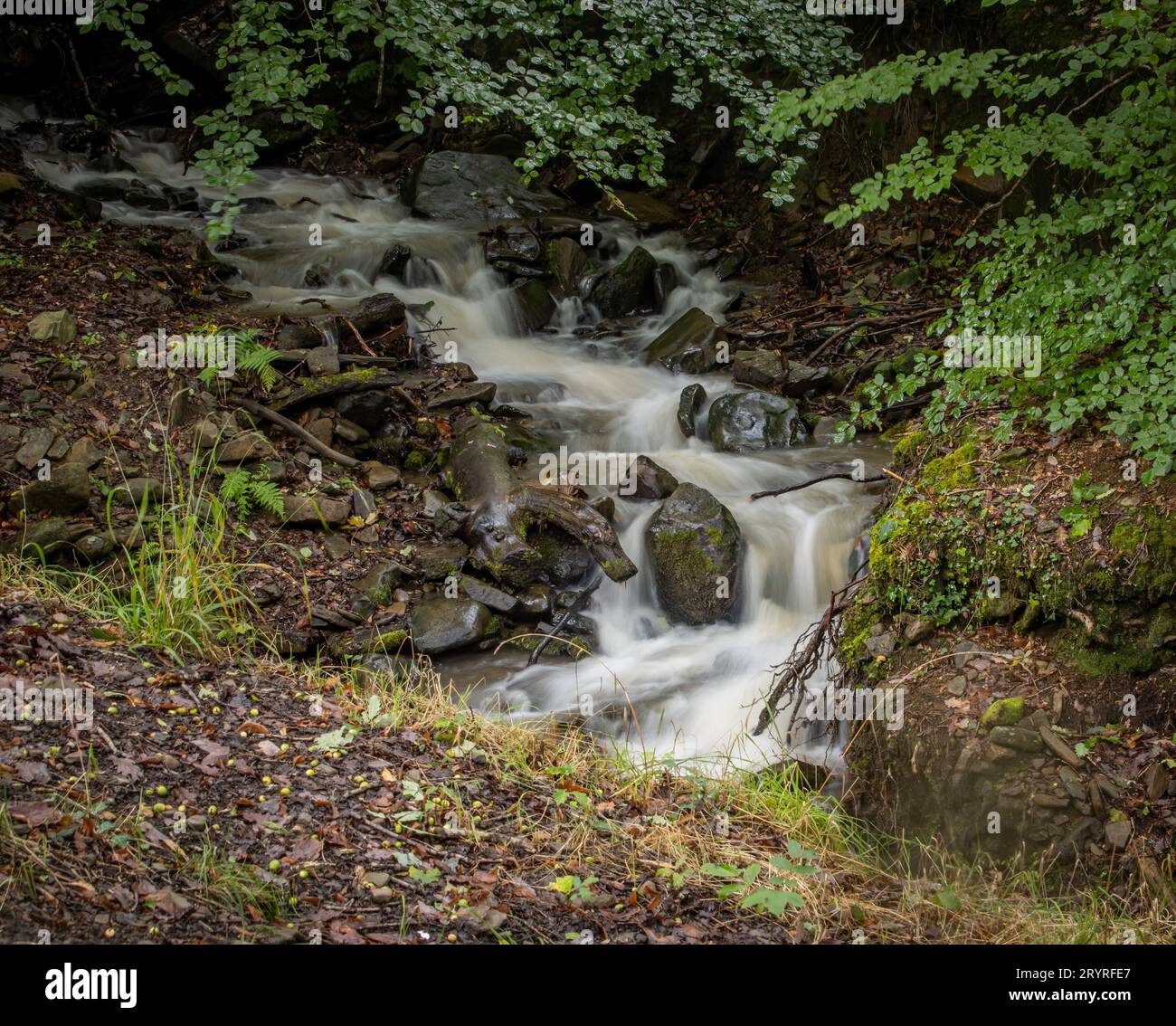 Ein malerischer Blick auf einen Wasserfall, der in Wales die Felsen hinunterfällt Stockfoto