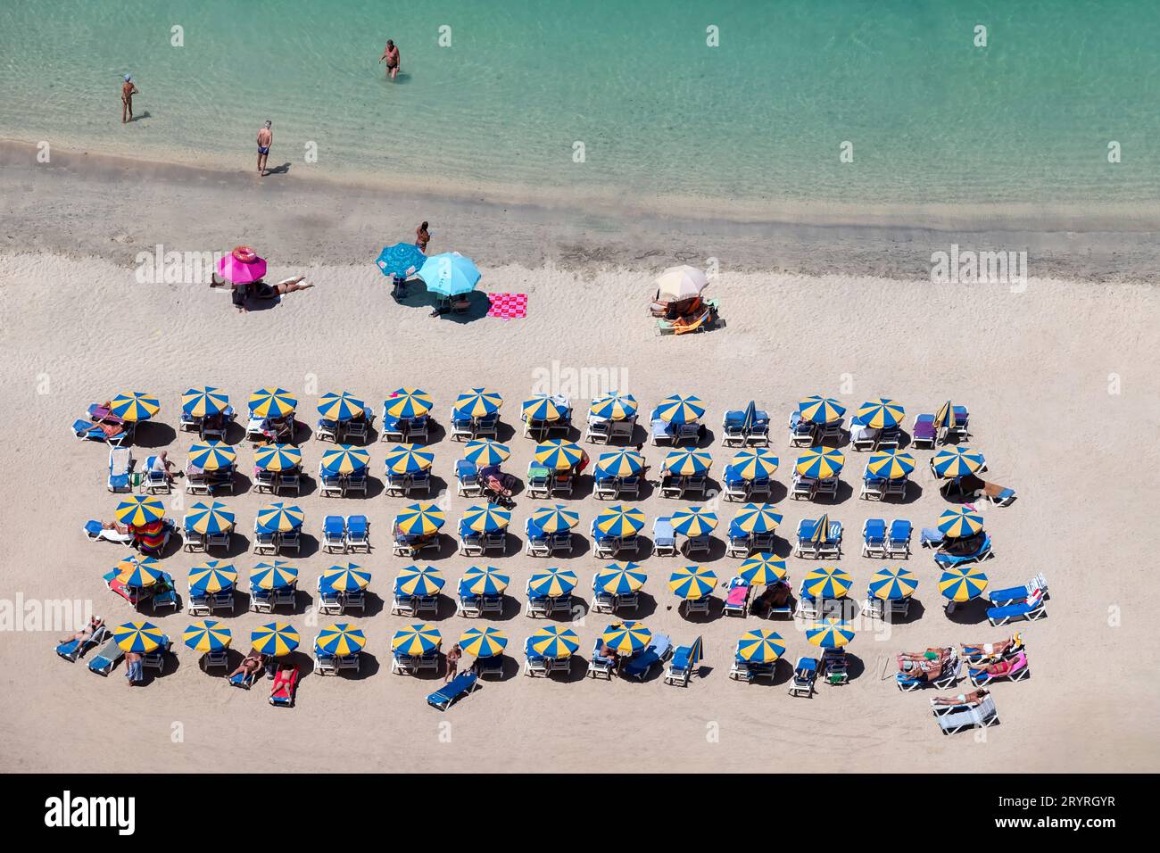 Urlauber, die sich an einem sonnigen Strand in Amadores, Gran Canaria, Spanien entspannen. Liegestühle sind ordentlich unter farbenfrohen Sonnenschirmen in der Nähe des Meeres angeordnet Stockfoto
