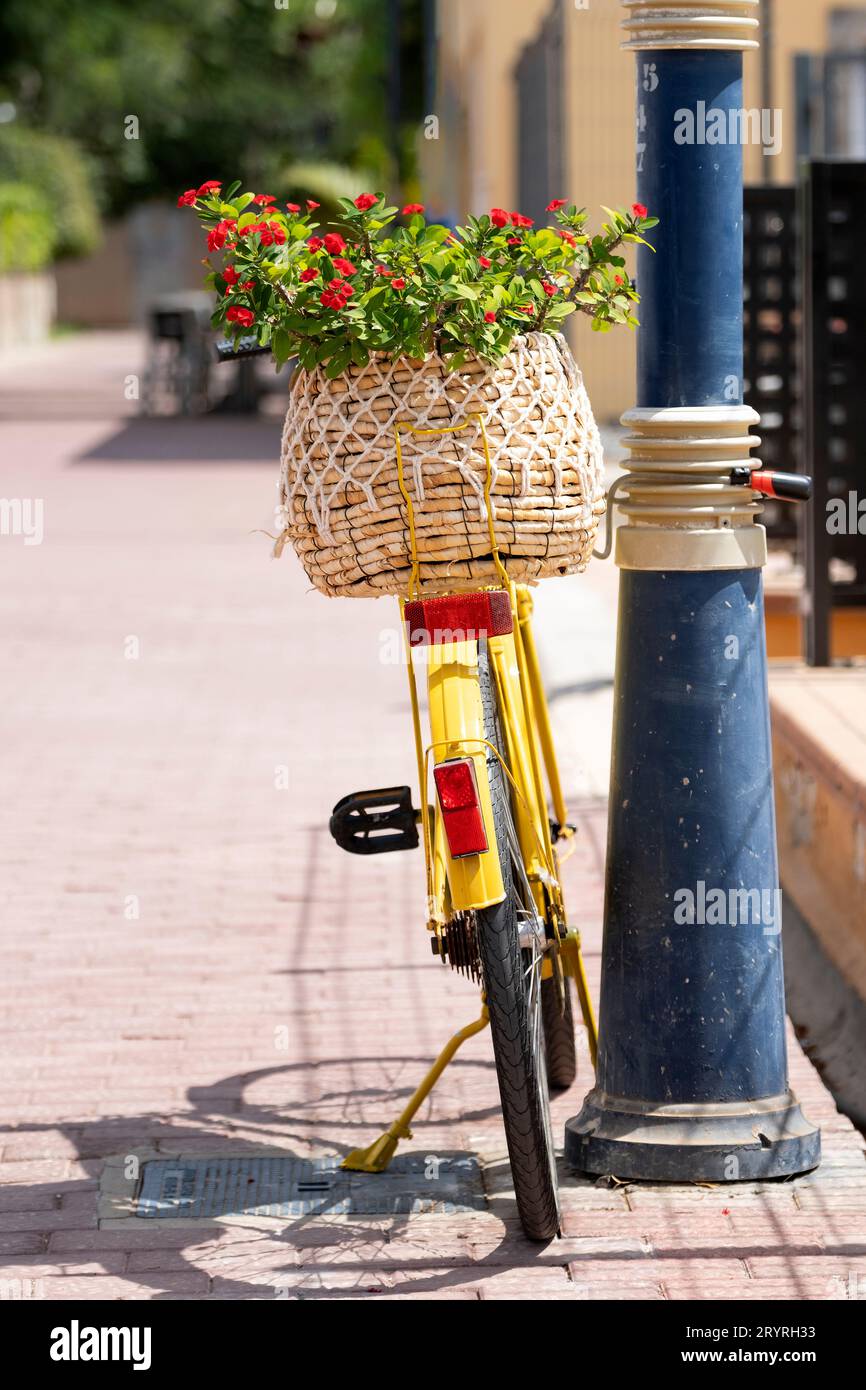 Ein hellgelbes Fahrrad links auf einer Straße. Das Motorrad hat einen hinteren Radträger mit einem Korb mit einer roten Blumenkohle Stockfoto