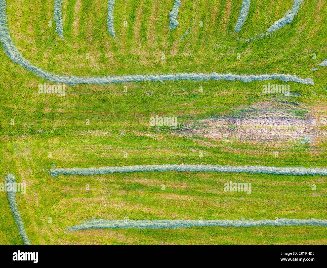 Farbenfrohe Muster auf Feldern auf Ackerland, Luftaufnahme, Drohnenfoto. Abstrakte geometrische Formen landwirtschaftlicher Parzellen von Dif Stockfoto