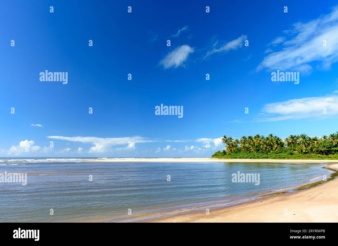 Wunderschöner Sargi Strand umgeben von Kokospalmen Stockfoto
