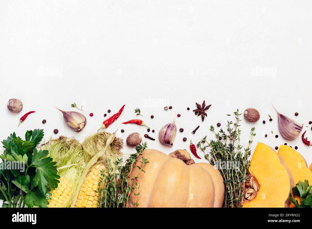 Herbst saisonales Gemüse, Kräuter und Gewürze. Thanksgiving-Food-Konzept Stockfoto