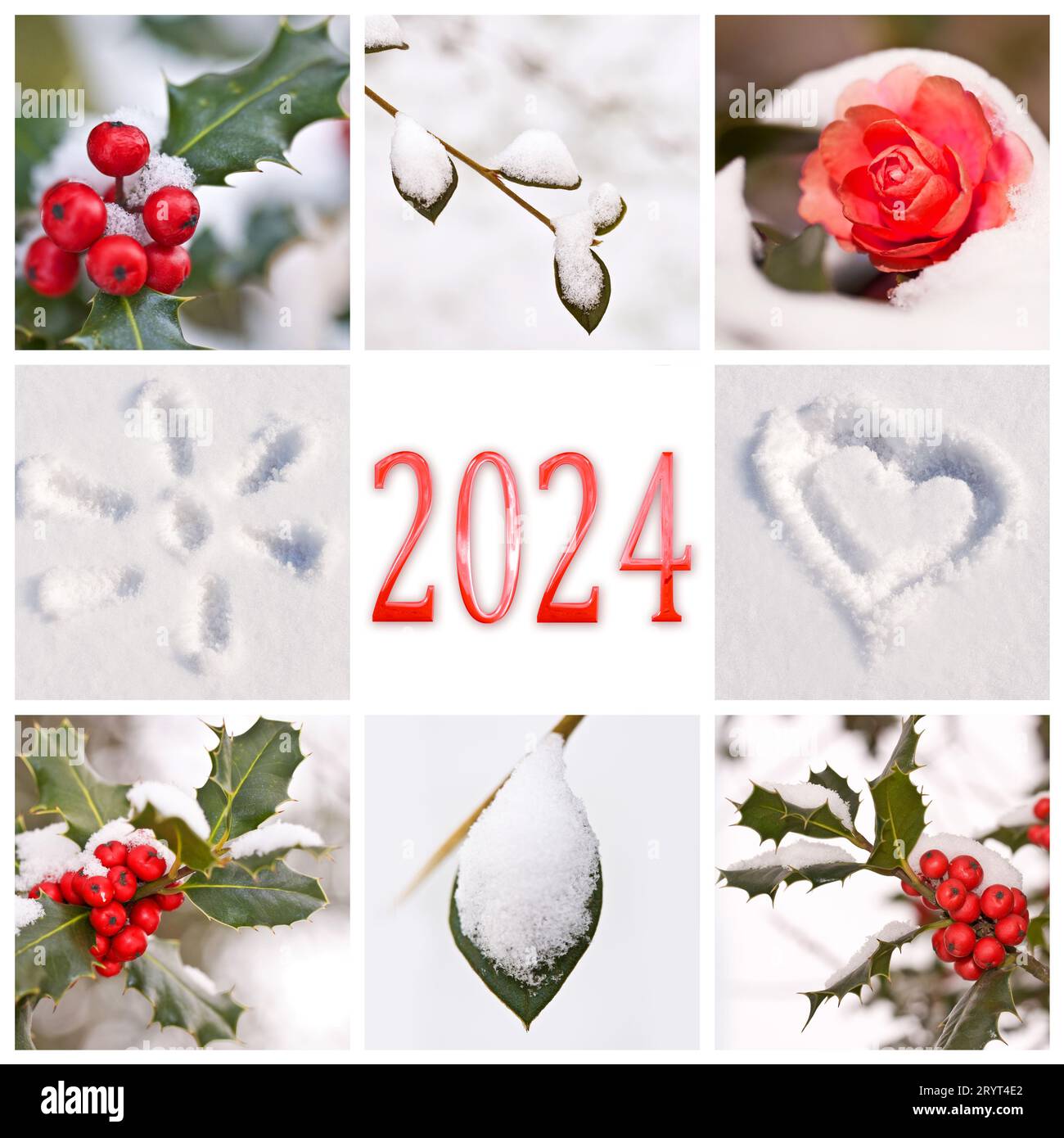 2024, Schnee und Winter rot-weiße Naturfotos Collage, Neujahrsgrußkarte Stockfoto