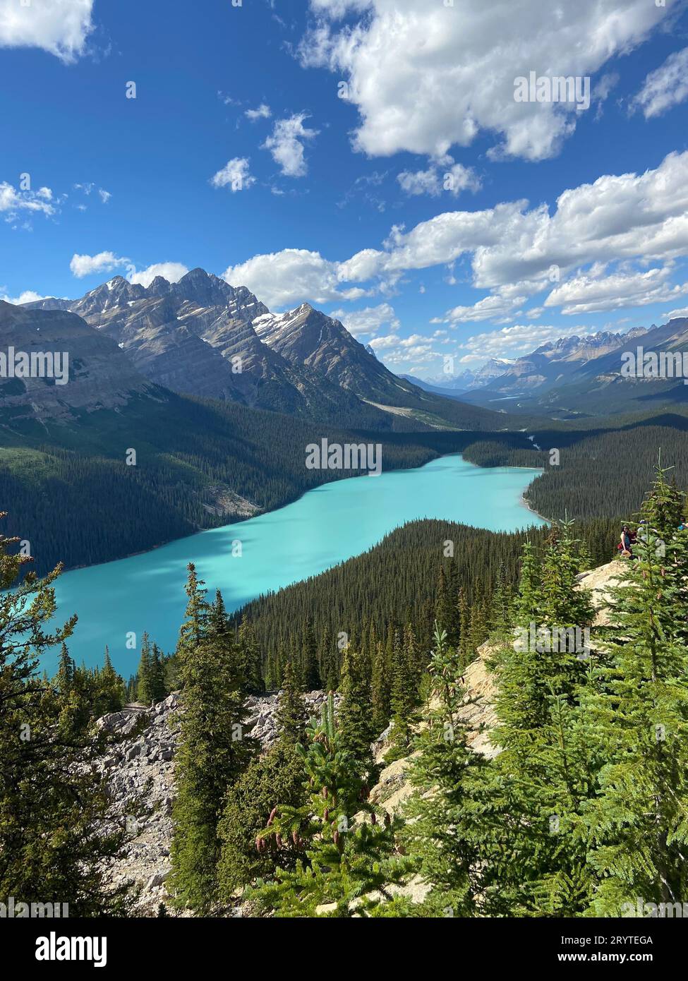 Zwei riesige, türkisfarbene Seen, umgeben von üppigen immergrünen Bäumen, und mehrere Wanderer erkunden den nahe gelegenen Wanderweg Stockfoto
