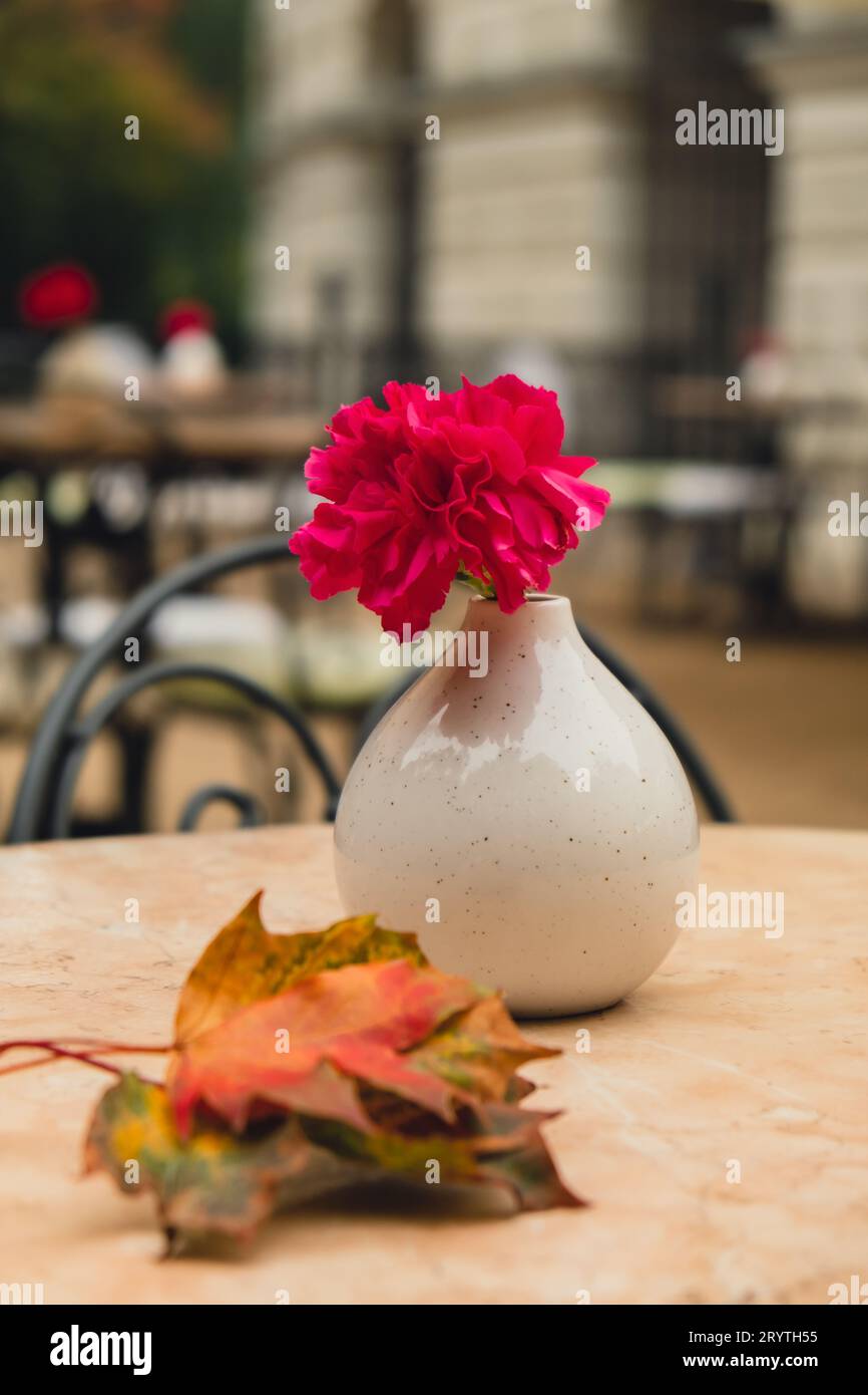 Straßencafé mit leeren Tischen im Freien. Blumenvasen auf Tischen und Vintage-Stühlen. Vor dem Café-Restaurant. Gemütlicher Strich Stockfoto